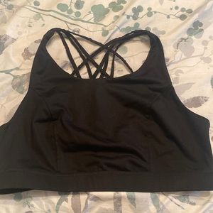 TORRID sports bra